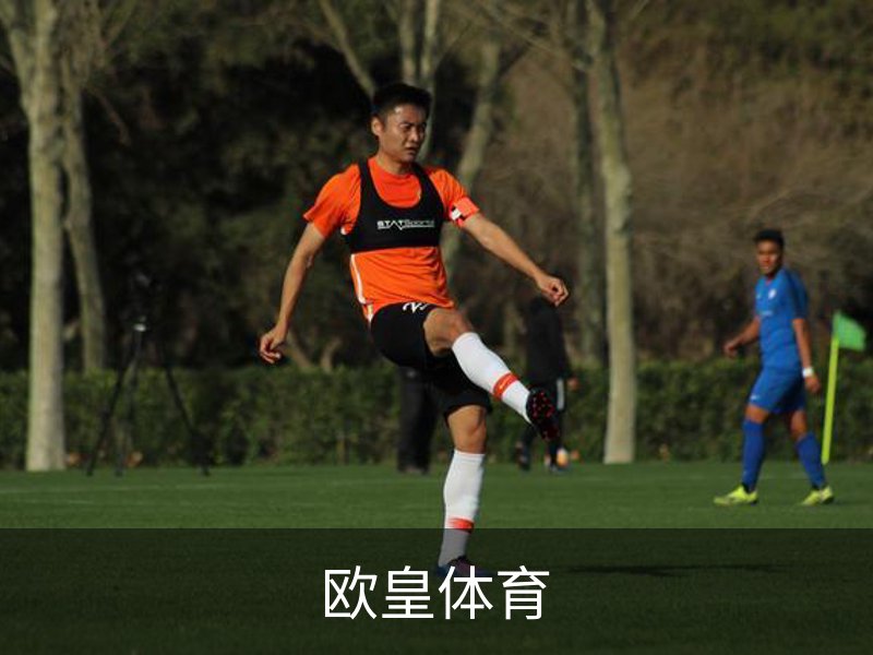 了解欧皇体育